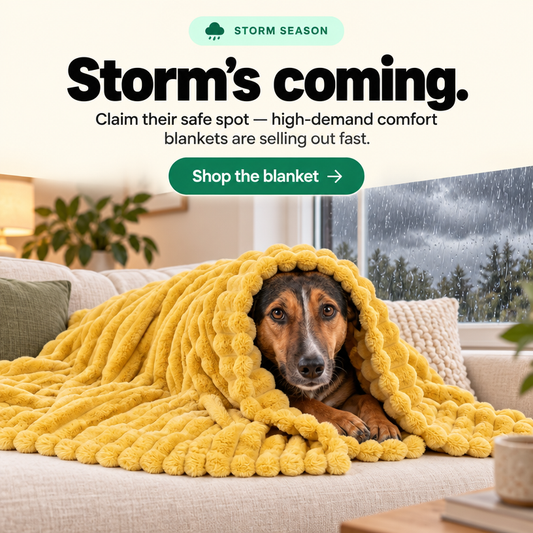Soft Pet Blanket for Small Medium Dogs Cats Warm Breathable Pet Mat Bed Cover Washable Dog Blanket Pet supplies for Sofa Bed