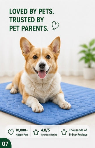 PawShadow™ Summer Pet Ice Pad Cool Sleeping Mat